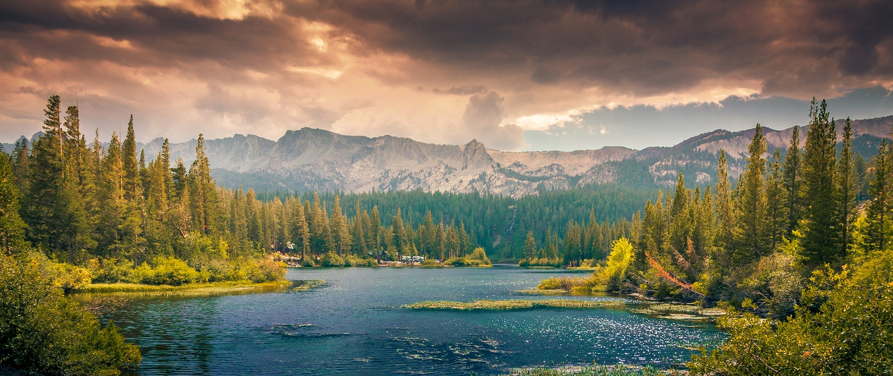 无损数据迁移的呼叫软件天天呼