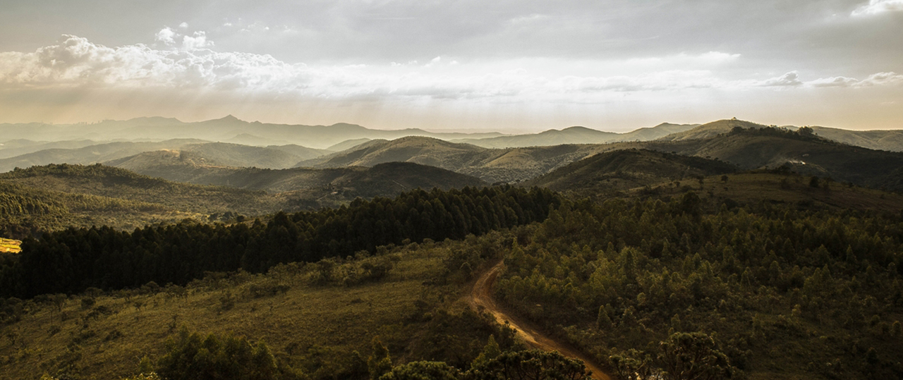 一手价格供应的免费手机号轰炸机