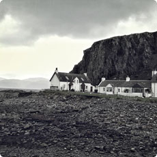 自动处理高效的呼叫软件天天呼