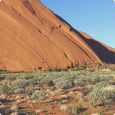 电话轰在线轰炸免费下载
