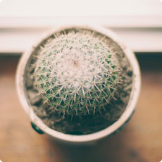 无限循环呼叫电话软件