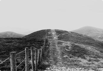 永久免费轰炸电话网页版