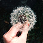 云呼炸仇人软件